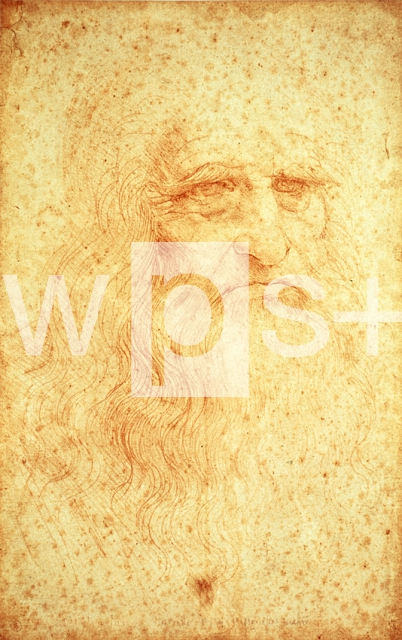 LEONARDO DA VINCI｜自画像