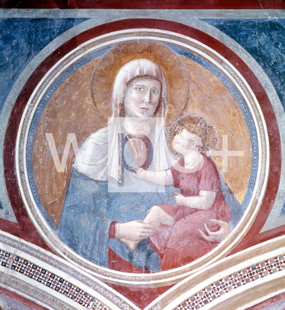 GIOTTO DI BONDONE｜聖母子