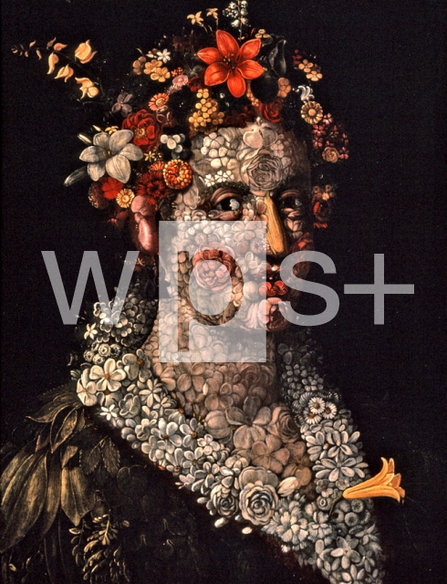 ARCIMBOLDO Giuseppe｜フローラ