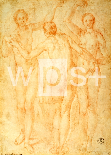 PONTORMO (Jacopo Carrucci)｜三美神画構のための習作