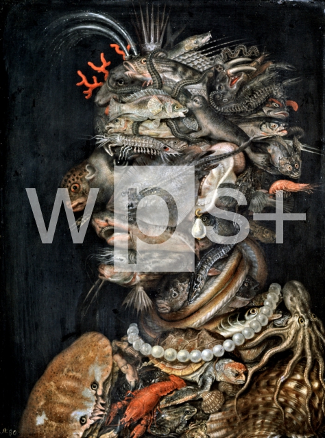 ARCIMBOLDO Giuseppe｜水