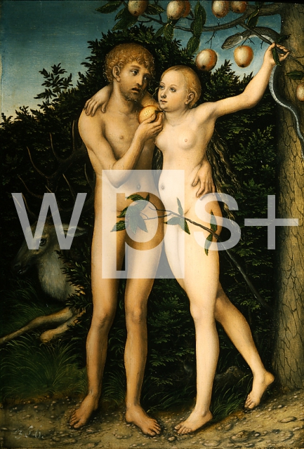 CRANACH Lucas｜アダムとイヴ