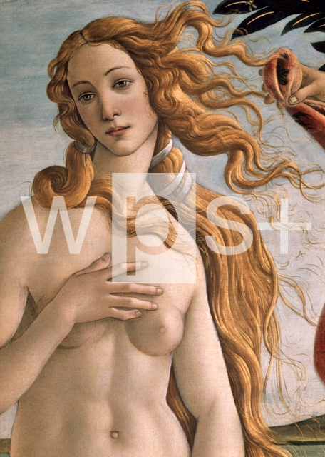 BOTTICELLI Sandro｜ヴィーナスの誕生（部分）