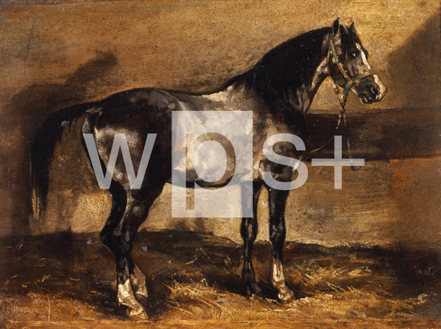 GERICAULT Theodore｜馬小屋の馬