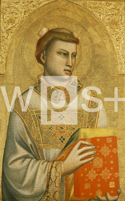 GIOTTO DI BONDONE｜聖ステファノ