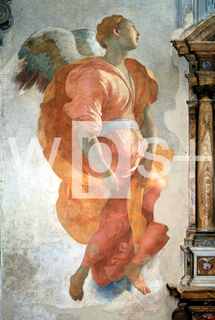 PONTORMO (Jacopo Carrucci)｜受胎告知（部分）