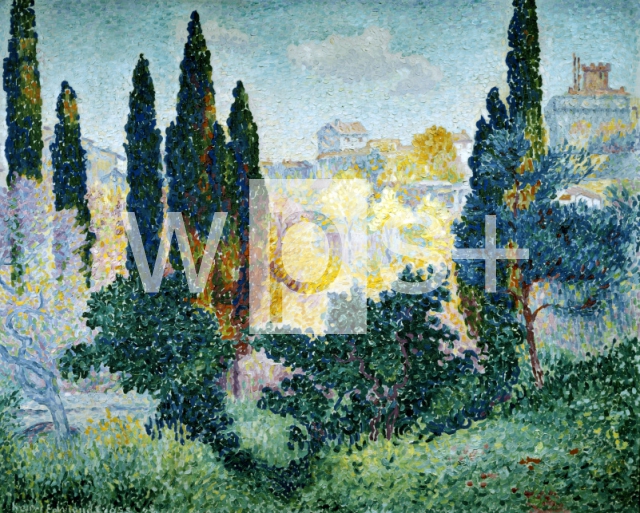 CROS Henri Edmond｜カーニュの糸杉