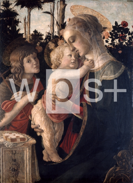 BOTTICELLI Sandro｜薔薇の聖母