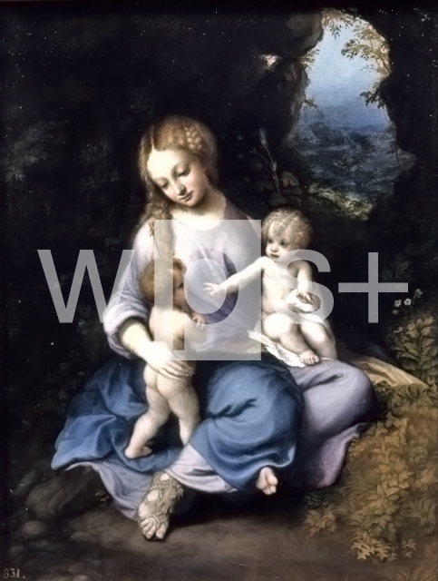 CORREGGIO (Antonio Allegri)｜聖母子と洗礼者ヨハネ