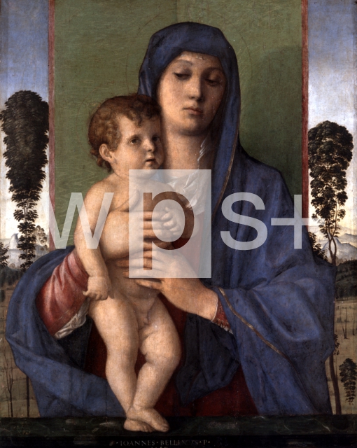BELLINI Giovanni｜若木の聖母