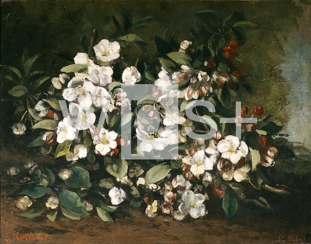 COURBET Gustave｜花の咲くりんごの枝、あるいは桜の花