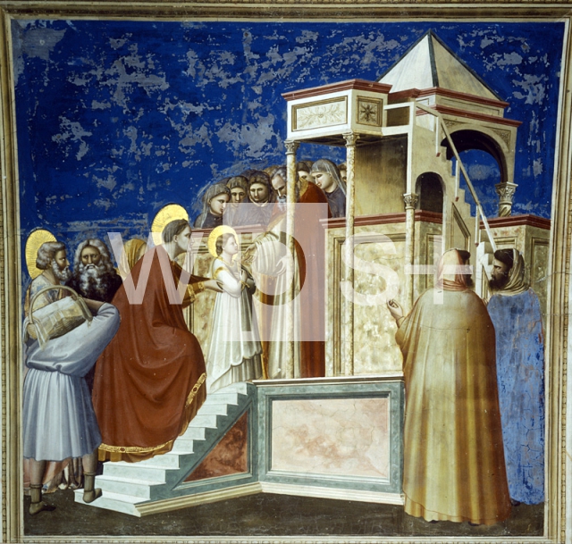 GIOTTO DI BONDONE｜マリア伝「マリアの神殿奉献」