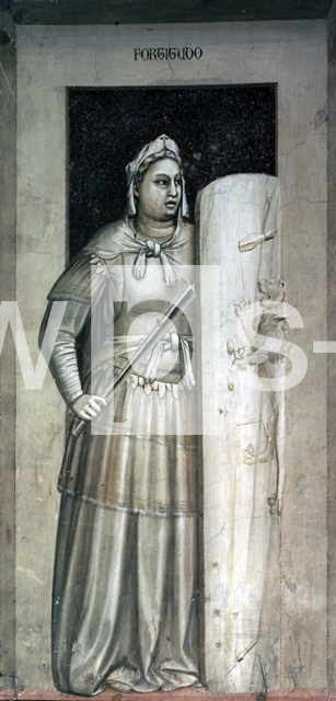 GIOTTO DI BONDONE｜剛毅