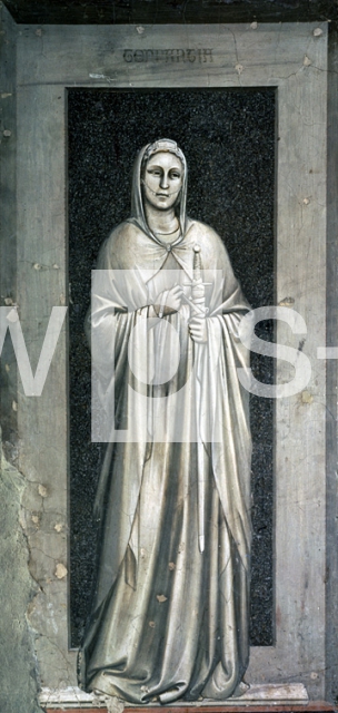 GIOTTO DI BONDONE｜自制