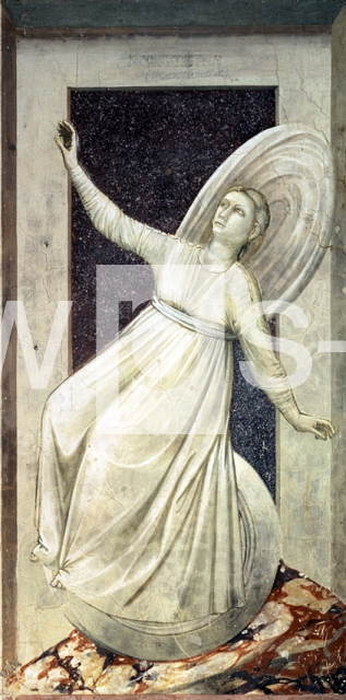 GIOTTO DI BONDONE｜移り気