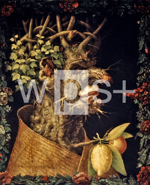 ARCIMBOLDO Giuseppe｜冬