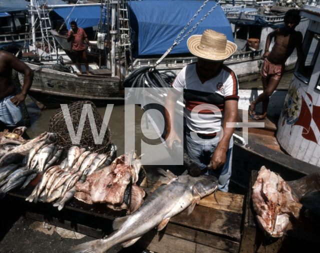 ｜ヴェール・オ・ペーゾ市場の鮮魚売場