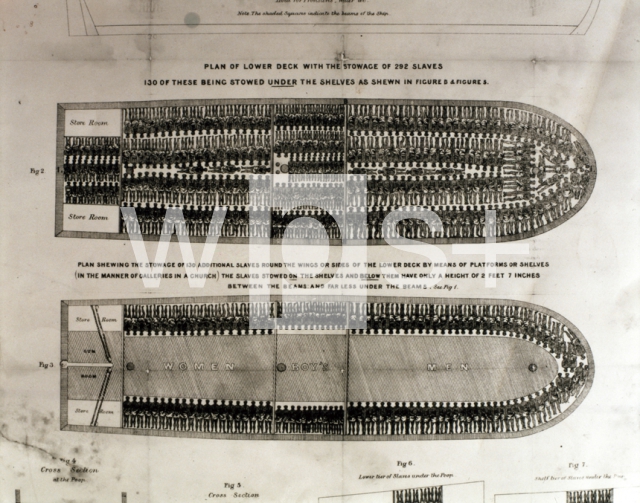 ｜イギリスで建造した奴隷輸送船「ブルックス号」の図面