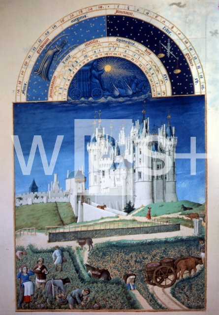 LIMBOURG Frères de｜9月、ソミュール城・葡萄の収穫