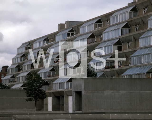 ｜ロンドン新地区の住宅