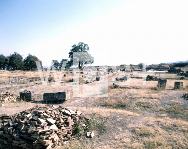 ｜ヴェルギナの古代遺跡