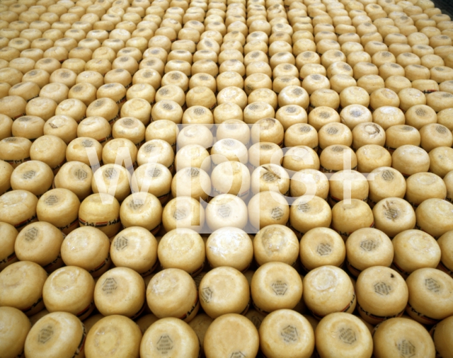 ｜チーズ市場