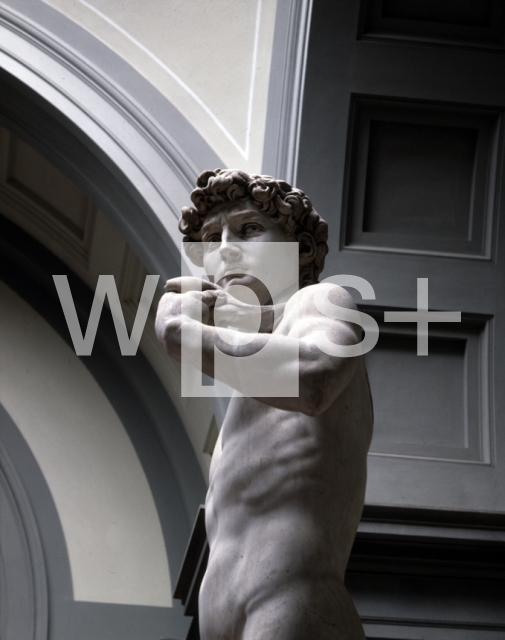 MICHELANGELO Buonarroti｜ダヴィデ