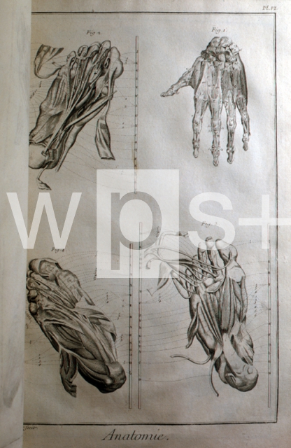 DIDEROT Denis & D’ALEMBERT Jean Le Rond｜解剖学（百科全書より）