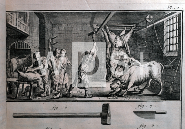 DIDEROT Denis & D’ALEMBERT Jean Le Rond｜食肉処理業、肉屋（百科全書より）