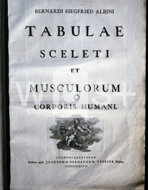 ｜アルビヌス著「人体の骨格と筋肉の表」の扉ページ