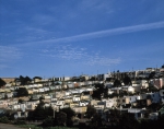 ｜サンフランシスコの中流住宅地区