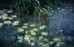 MONET Claude Oscar｜睡蓮