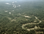 ｜ウマイタ南部のアマゾン熱帯雨林