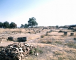 ｜ヴェルギナの古代遺跡