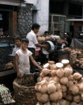 ｜メダン中央市場でココナッツを売る少年