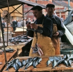 ｜ベルゲンの魚市場
