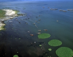 ｜バエ湖の養魚場