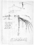 LEONARDO DA VINCI｜ダ・ヴィンチの自筆原稿「羽ばたきの機構」